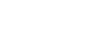 Zibro-logo